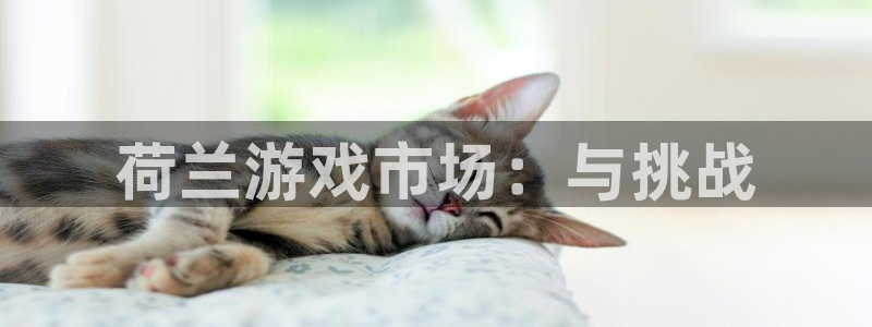 银河官网开户待遇