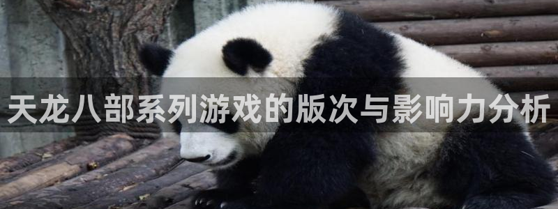 银河官网登录注册不了账号：天龙八部系列游戏的版次与影响力分析
