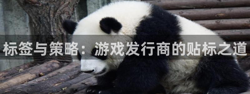 银河官网登录注册账号失败怎么办：标签与策略：游戏发行商的贴标之道
