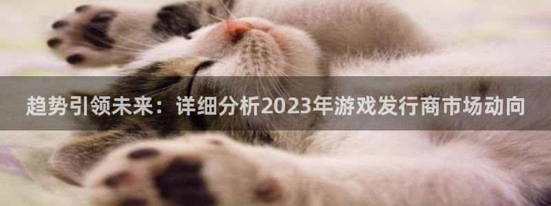 银河官网注册平台怎么注册不了：趋势引领未来：详细分析2023年游戏发行商市场动向