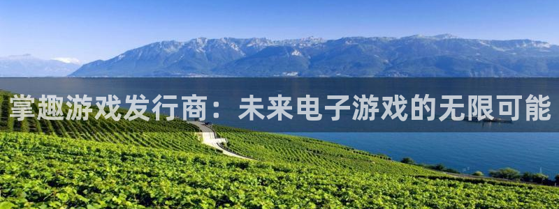 银河(galaxy)球队：掌趣游戏发行商：未来电子游戏的无限可能