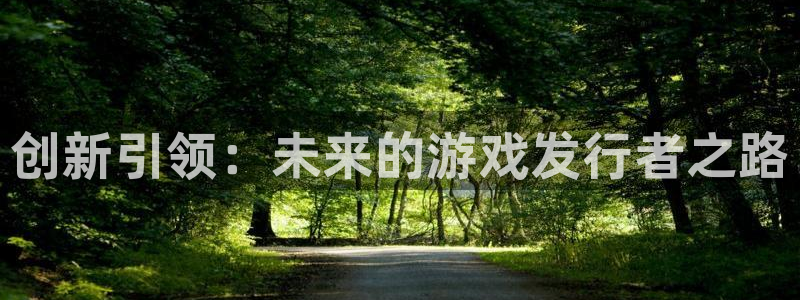 银河(galaxy)电商怎么样知乎：创新引领：未来的游戏发行者之路