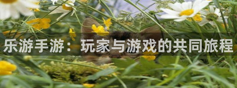 银河官网平台代理开号：乐游手游：玩家与游戏的共同旅程