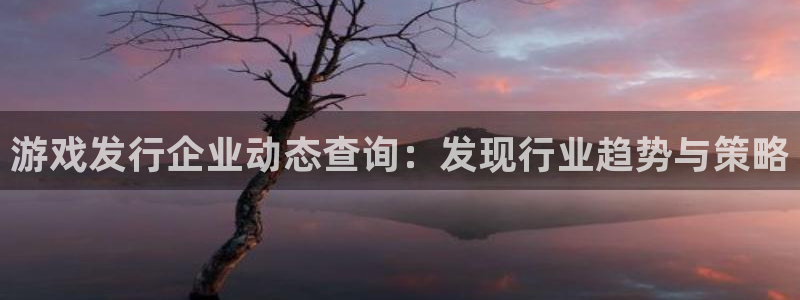 银河(galaxy)户外：游戏发行企业动态查询：发现行业趋势与策略