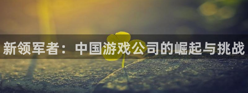 银河(galaxy)电子商务有限公司怎么样啊