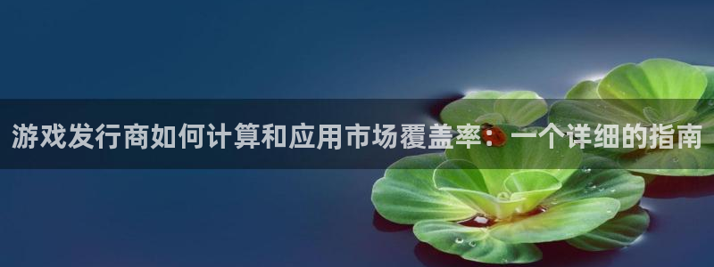 银河(galaxy)电子商务有限公司怎么样啊